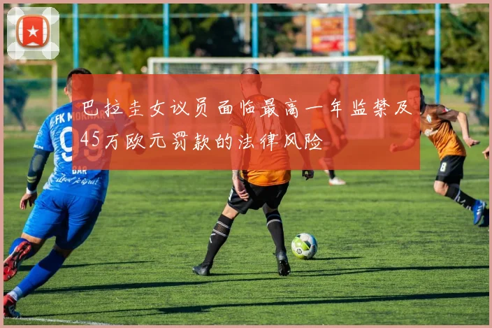 巴拉圭女议员面临最高一年监禁及45万欧元罚款的法律风险